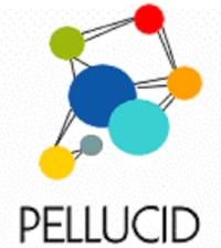 [Pellucid logo]